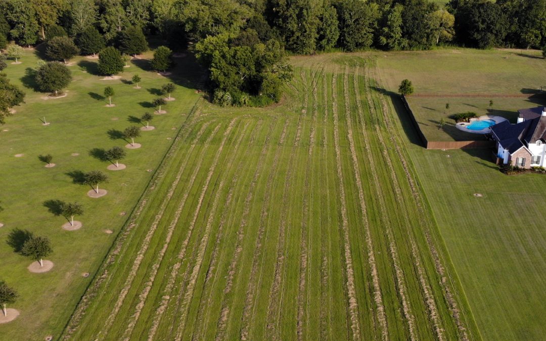 Lot 25 Yankee Camp Rd., Opelousas