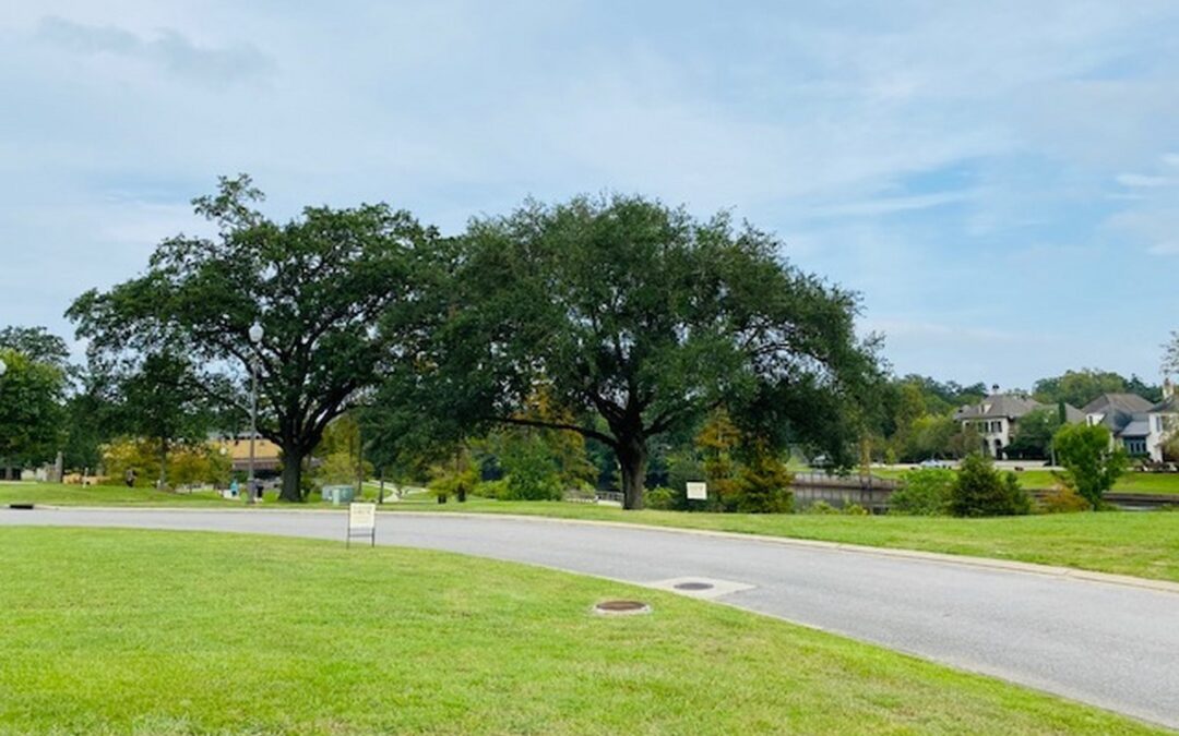 707 Elysian Fields Dr., Lafayette