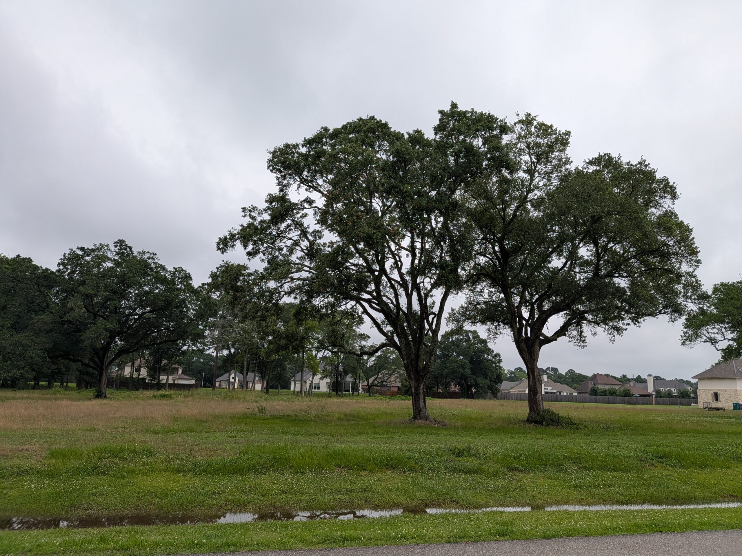 111 Grand Manor Dr., Youngsville